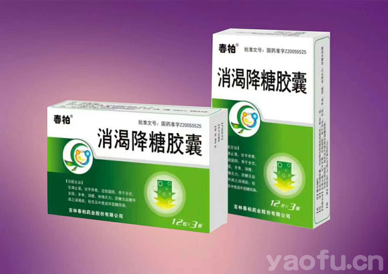 消渴降糖膠囊 消渴降糖膠囊